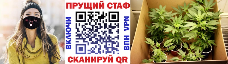 Где купить наркоту Инза APVP  Кокаин  МЕФ  Марихуана  МДМА  LSD-25  Галлюциногенные грибы  ГАШИШ 