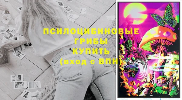 бошки Балахна