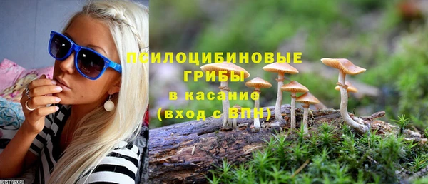 стаф Снежинск